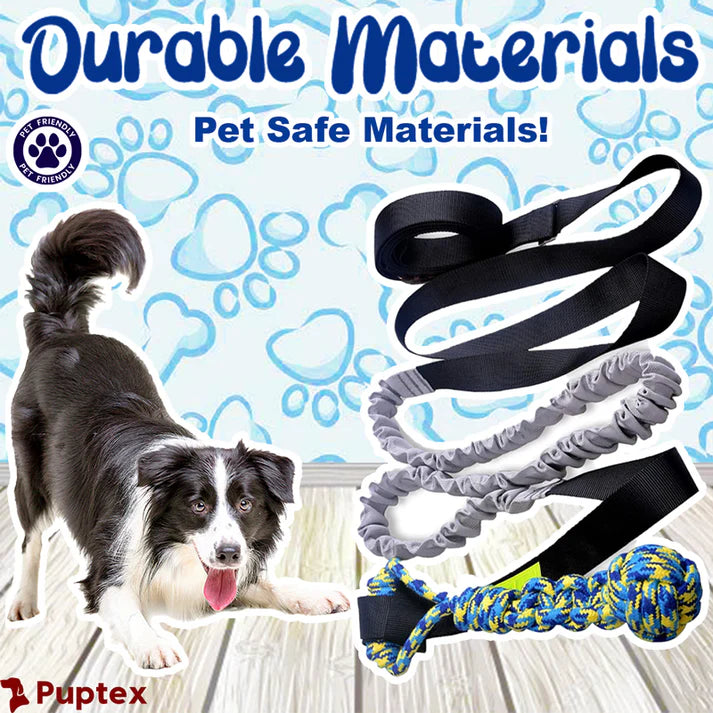 Bungee Tug™ - Interactive Dog Toy