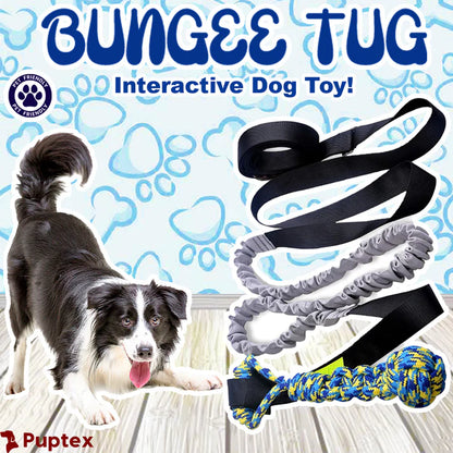 Bungee Tug™ - Interactive Dog Toy