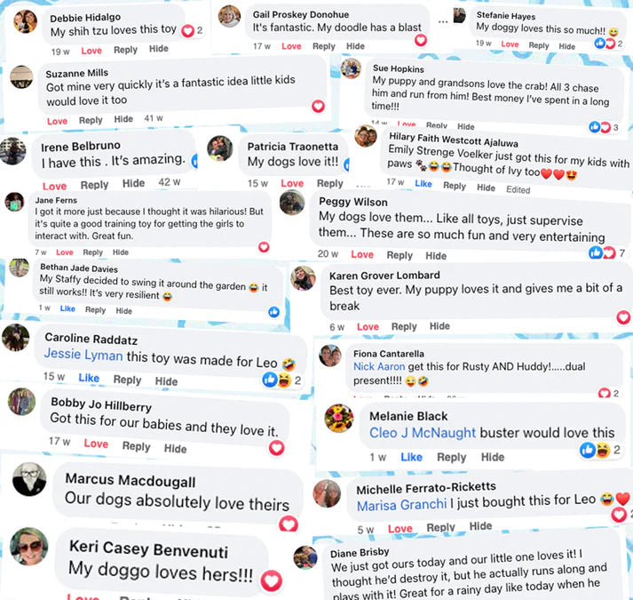 Quack Snack™ - Dog Puzzle Feeder