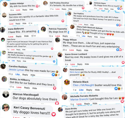 Quack Snack™ - Dog Puzzle Feeder