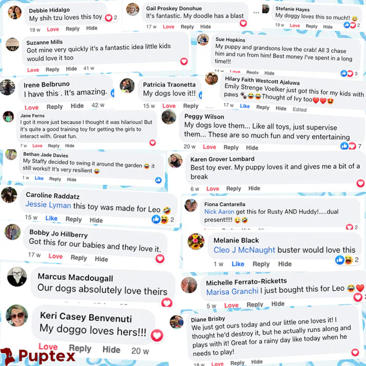 Scoot Snack™ - Interactive Treat Toy