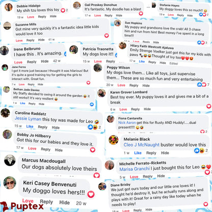 Scoot Snack™ - Interactive Treat Toy