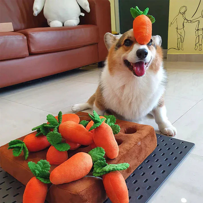 Carrot Patch™ - Interactive Dog Toy