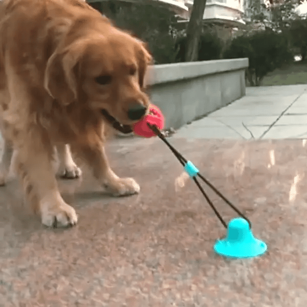 Doggy Tug™ - Interactive Dog Toy
