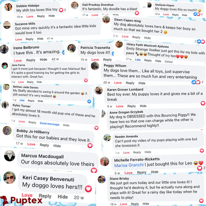 Groovy Gecko™ - Interactive Dog Toy