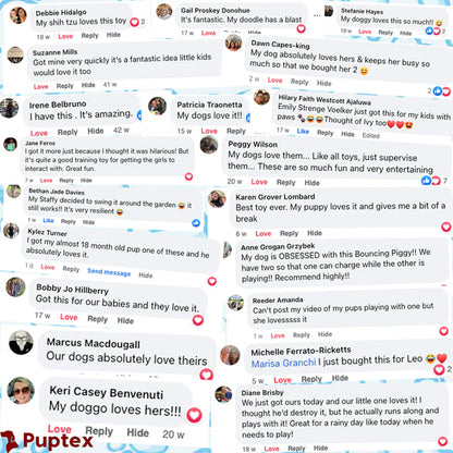 Groovy Gecko™ - Interactive Dog Toy