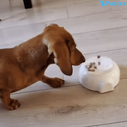 Scoot Snack™ - Interactive Treat Toy