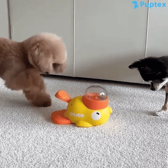 Quack Snack™ - Dog Puzzle Feeder