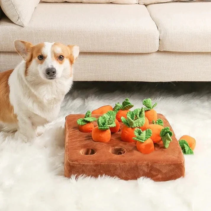 Carrot Patch™ - Interactive Dog Toy