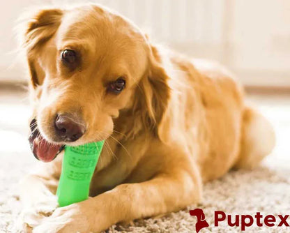 Chewy Croc™ - Durable Chewing Toy