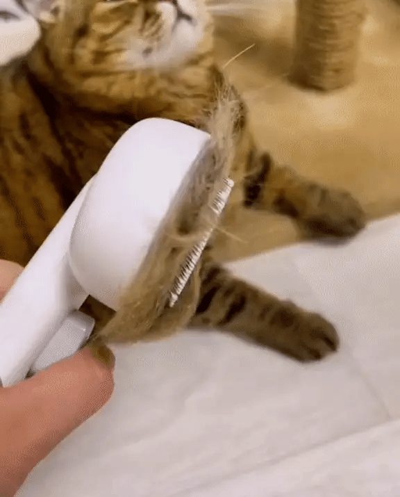 Furly™ - Fur Brush