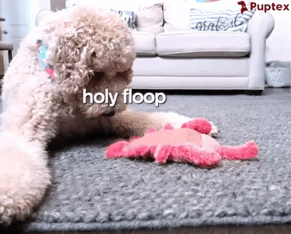 Lucky Lobster™ - Interactive Dog Toy