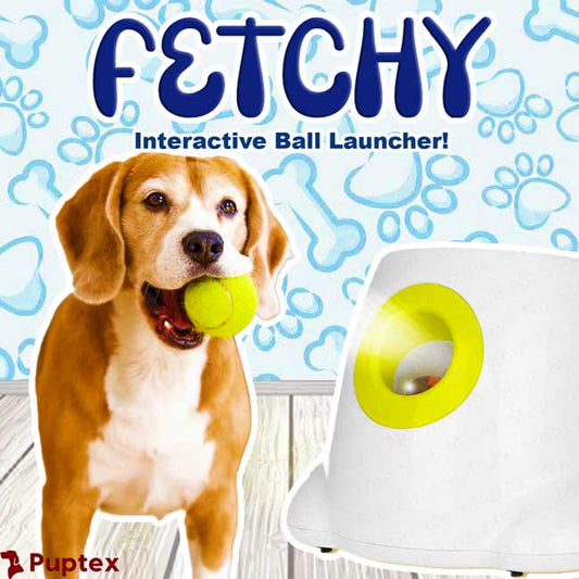 Fetchy™ - Automatic Ball Launcher