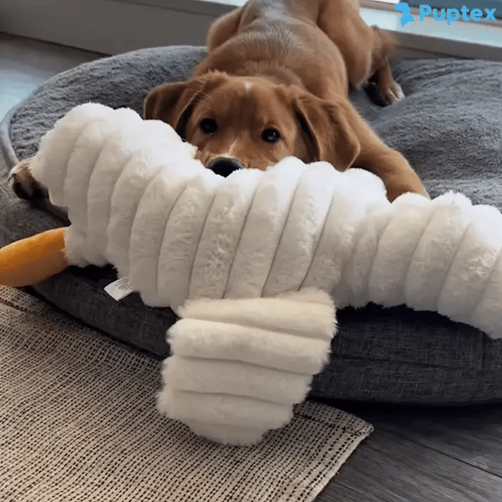 Giant Goose™ - Interactive Dog Toy