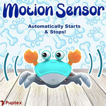Crawling Crab™ - Interactive Dog Toy