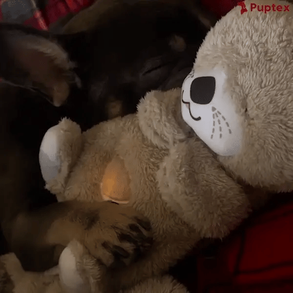 Breathing Otter™ - Separation Anxiety Toy