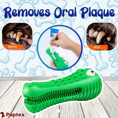 Chewy Croc™ - Durable Chewing Toy