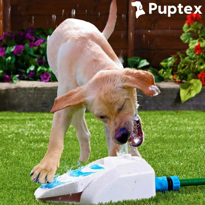 PuddlePaw™ - Interactive Dog Toy